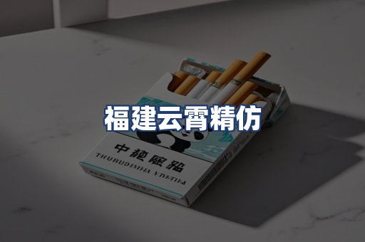福建云霄精仿
